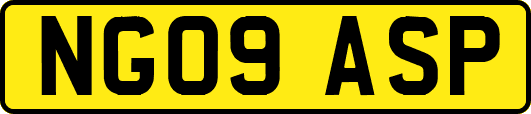 NG09ASP