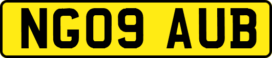 NG09AUB