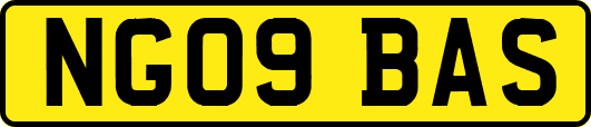 NG09BAS