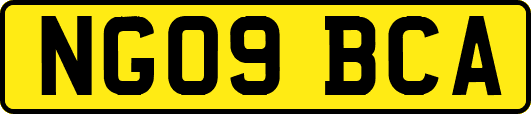 NG09BCA