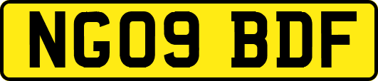 NG09BDF