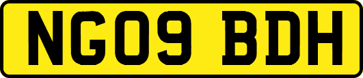 NG09BDH