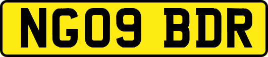 NG09BDR