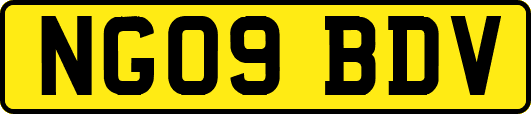 NG09BDV