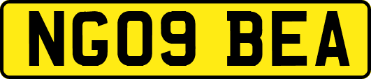 NG09BEA