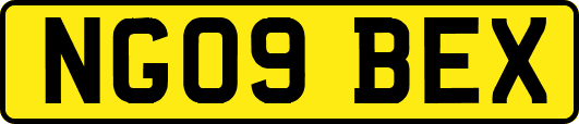 NG09BEX