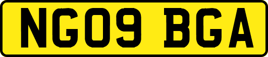NG09BGA