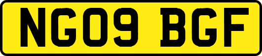 NG09BGF