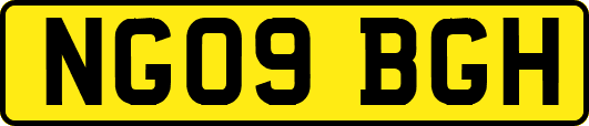 NG09BGH