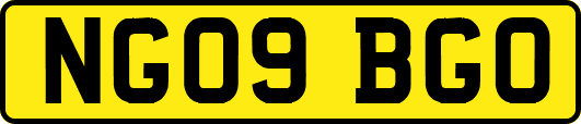NG09BGO