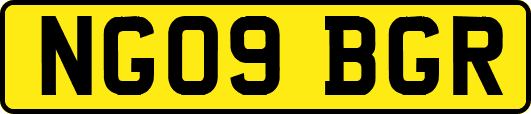 NG09BGR