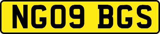 NG09BGS