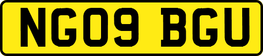 NG09BGU