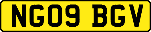 NG09BGV