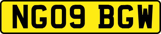 NG09BGW