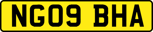 NG09BHA