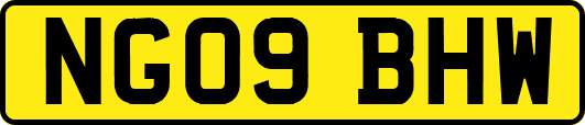 NG09BHW