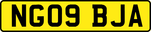 NG09BJA