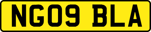 NG09BLA