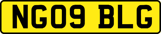 NG09BLG