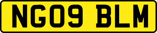 NG09BLM