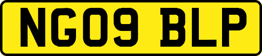 NG09BLP