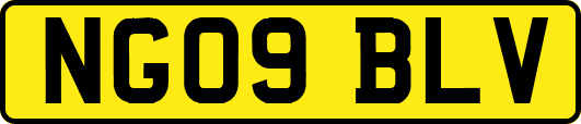 NG09BLV