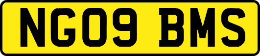 NG09BMS