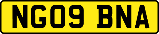 NG09BNA