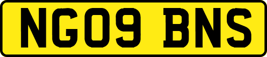 NG09BNS