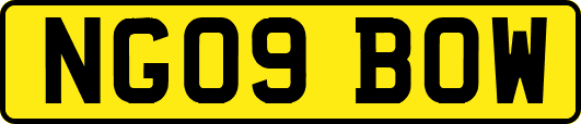 NG09BOW