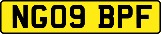 NG09BPF