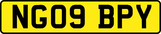 NG09BPY