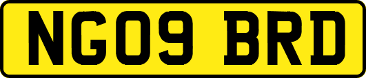 NG09BRD