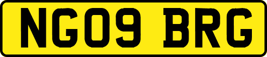 NG09BRG