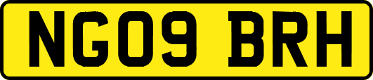 NG09BRH