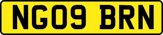 NG09BRN