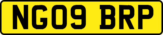 NG09BRP