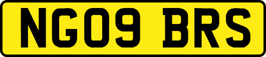 NG09BRS