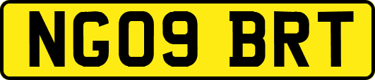 NG09BRT