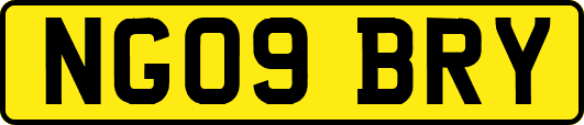 NG09BRY