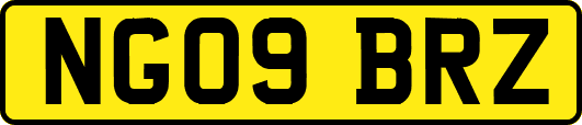NG09BRZ
