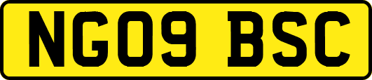 NG09BSC
