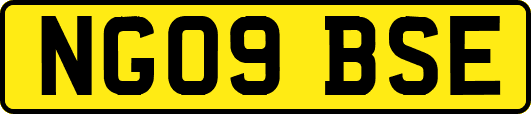 NG09BSE