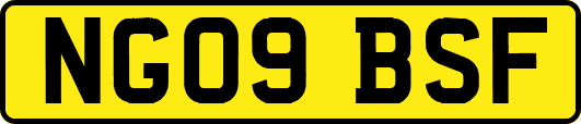 NG09BSF