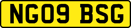 NG09BSG