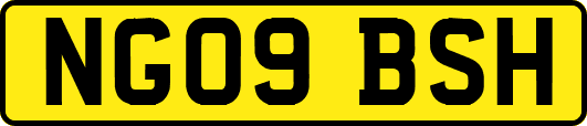 NG09BSH