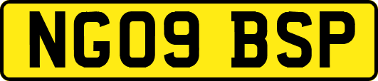 NG09BSP
