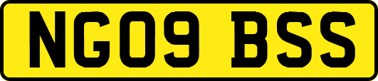 NG09BSS