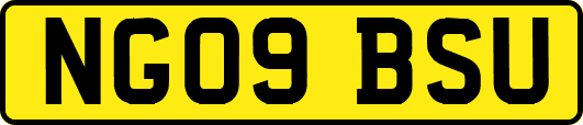 NG09BSU